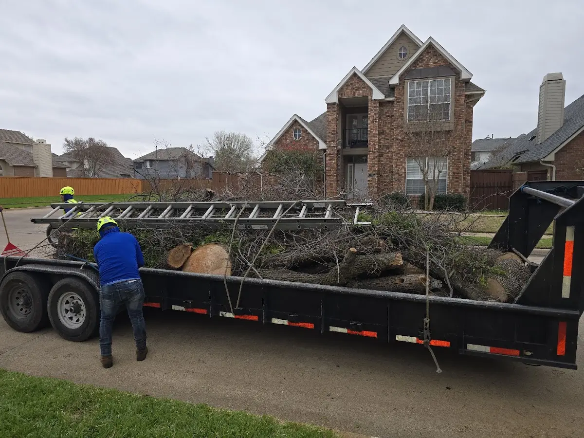 Expert Lot Clearing with proper safety equipment in Keyes